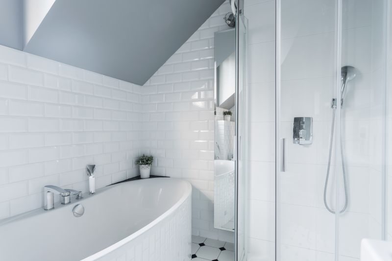 Bathroom Renovation Professional